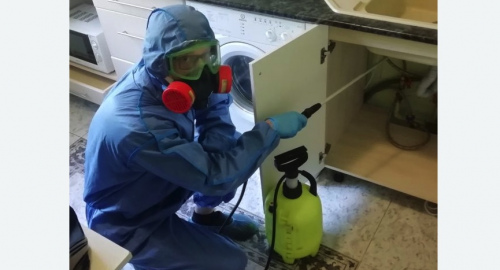 Уничтожение муравьев в квартире. Новоуткинск