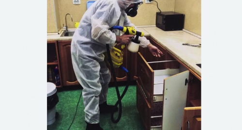 Дезинсекция квартиры. Новоуткинск