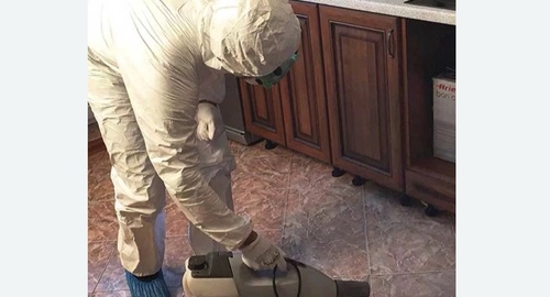 Уничтожение тараканов в квартире. Новоуткинск