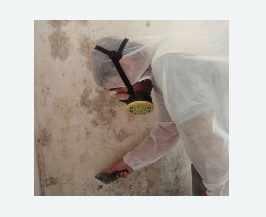 Обработка стен от плесени Новоуткинск