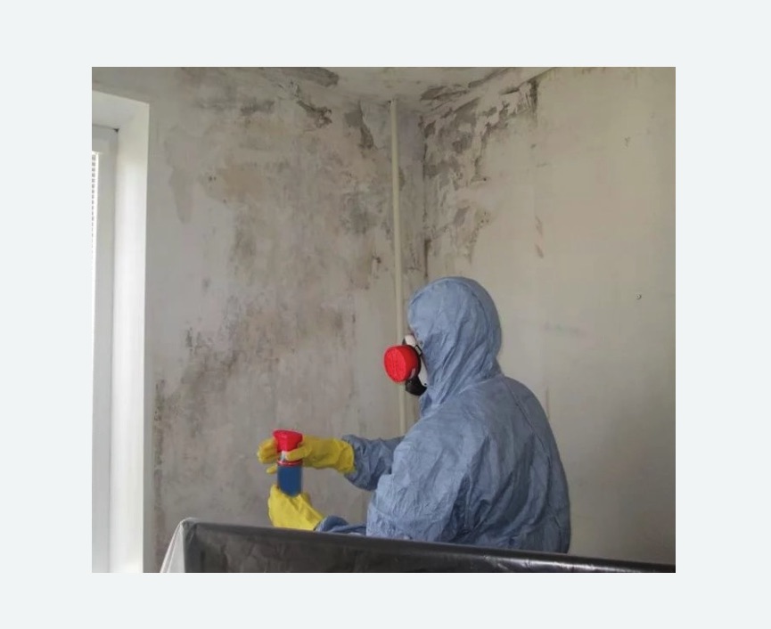 Удаление плесени в квартире Новоуткинск
