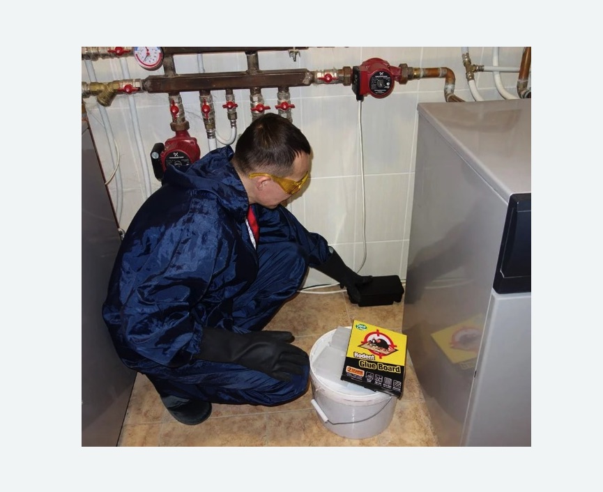 Уничтожение крыс Новоуткинск