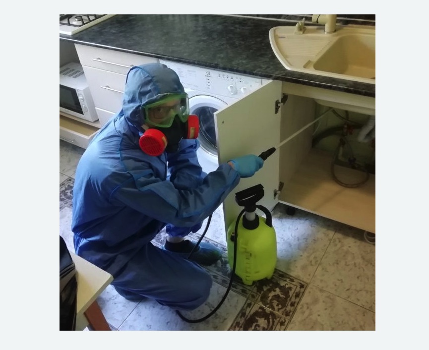 обработка от муравьев в квартире Новоуткинск