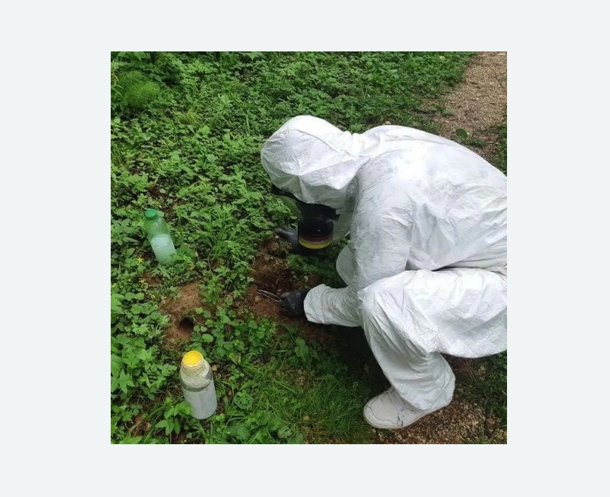 уничтожение кротов на участке Новоуткинск